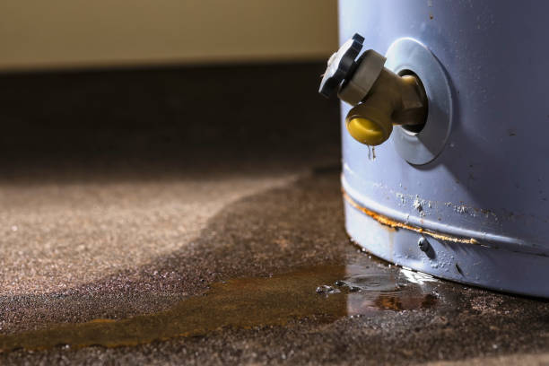 Best Carpet water damage restoration  in Monticello, AR