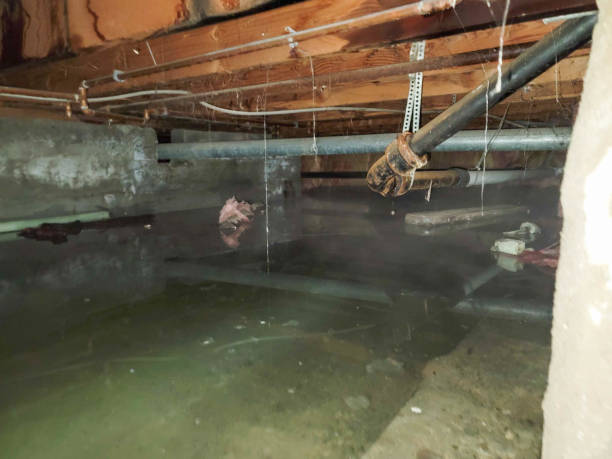 Best Basement water damage restoration  in Monticello, AR