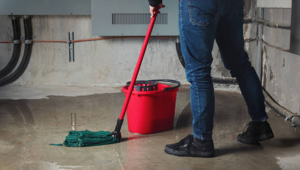Best Flooded house restoration  in Monticello, AR