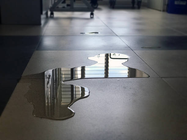 Best Professional water damage repair  in Monticello, AR