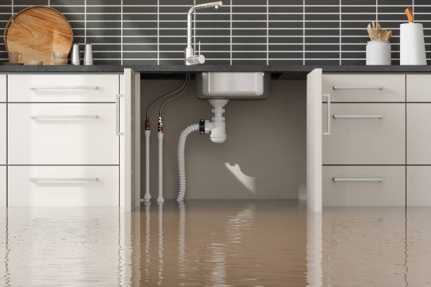 Best Water damage cleanup near me  in Monticello, AR