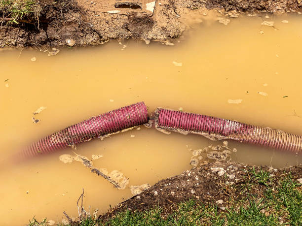 Best Sewage cleanup and water damage restoration  in Monticello, AR