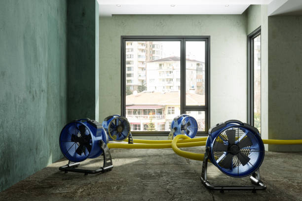 Best Fire Damage Restoration  in Monticello, AR