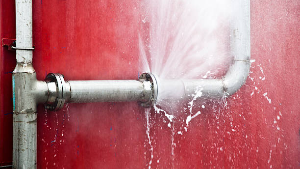 Best Ceiling water damage repair  in Monticello, AR