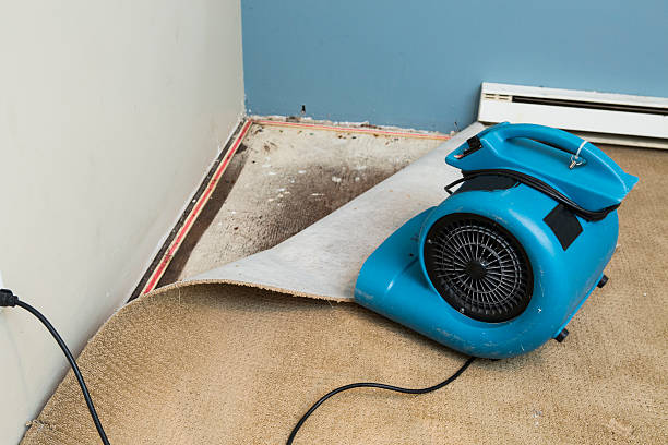 24/7 water damage repair in AR